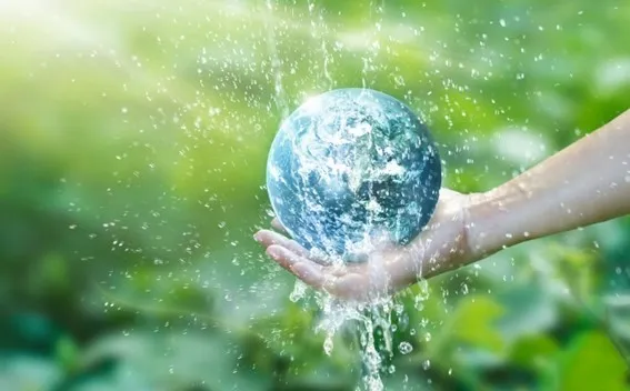 Imagem ilustrativa de Empresas de consultoria meio ambiente