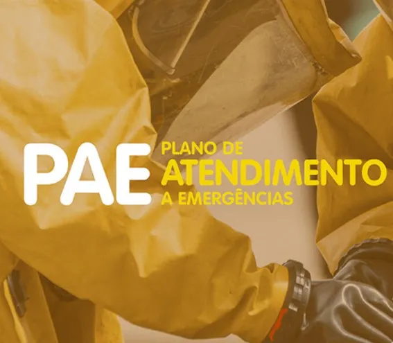 Imagem ilustrativa de Pae ambiental